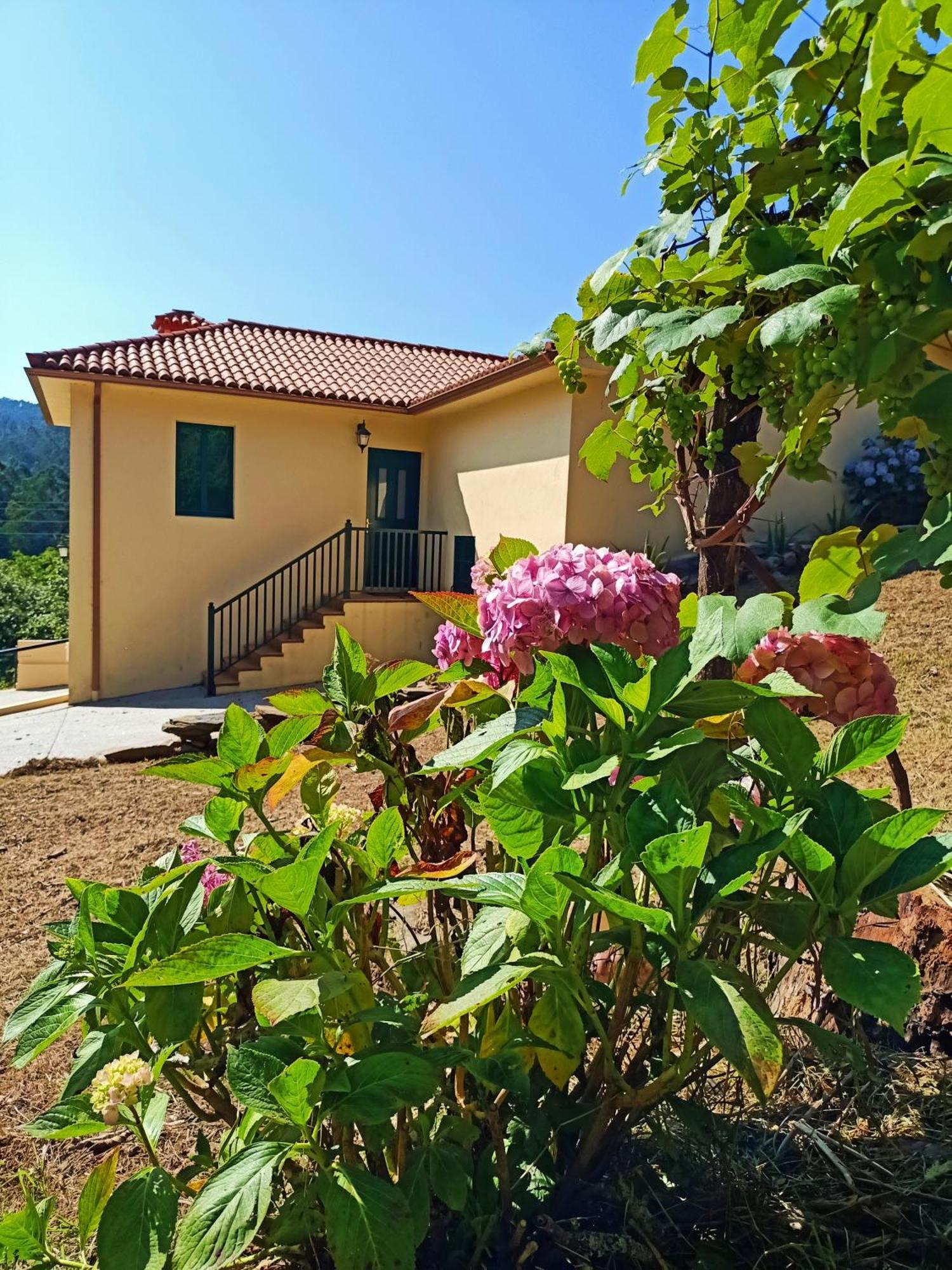 A Casa Do Porto Cerca De Cedeira Y De La Playa De Pantin Vila Valdoviño Exterior foto